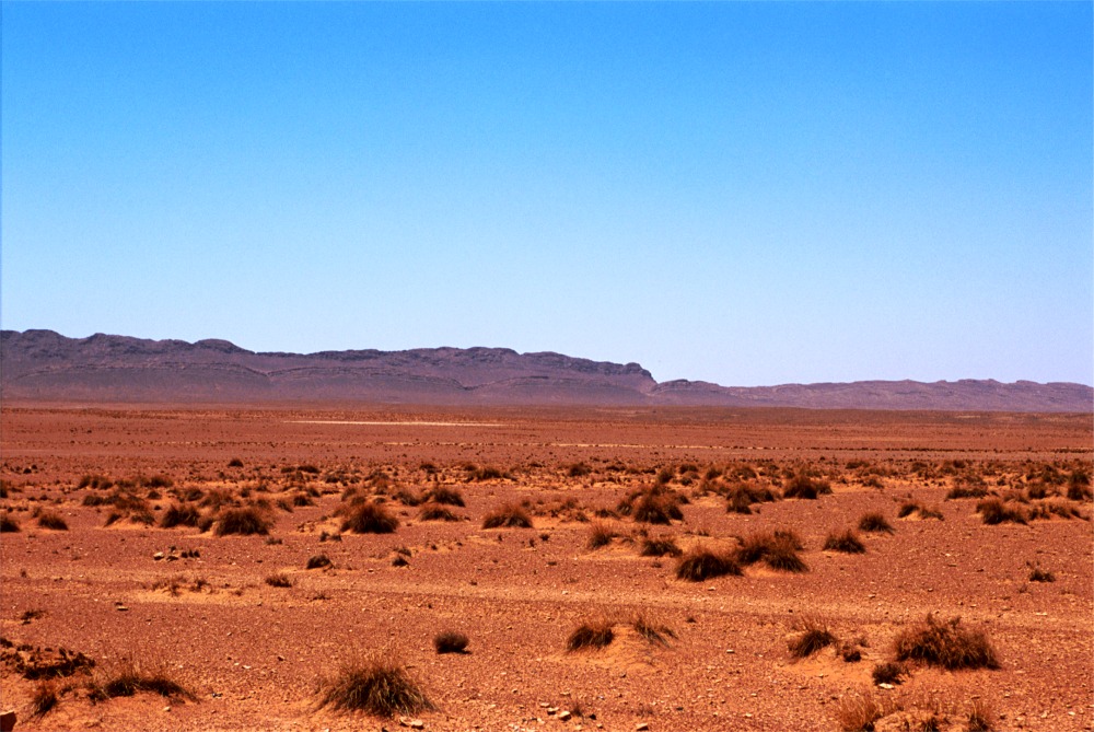 R3.28 Saharan Panorama!.jpg (212596 bytes)