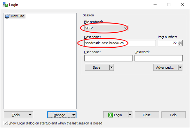 WinSCP Site setup